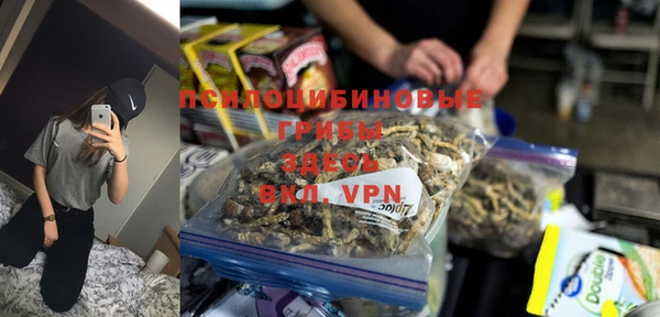 не бодяженный Алексин
