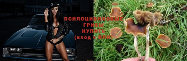 не бодяженный Алексин